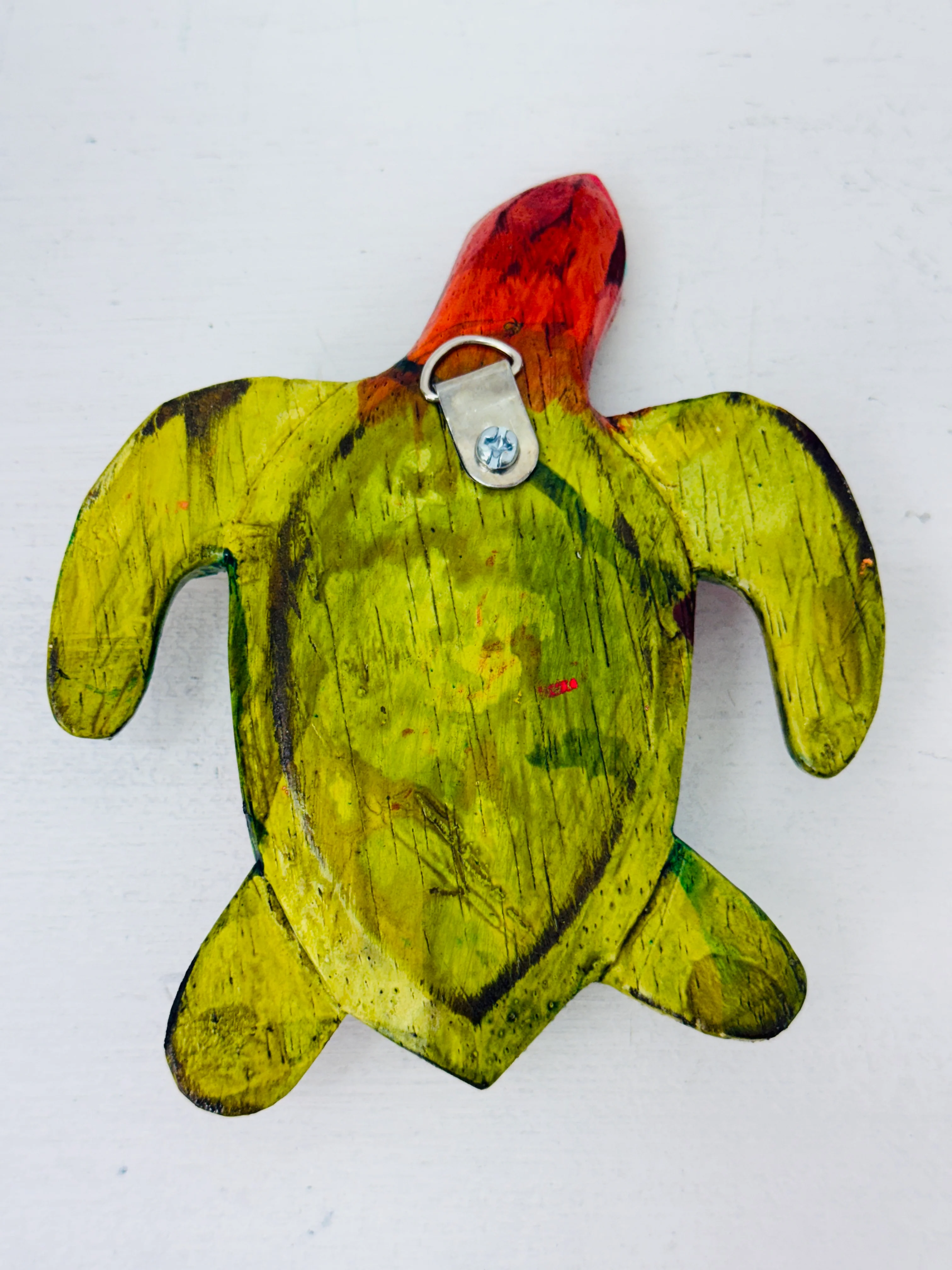 Small Crazy Turtle - Multi - Image 3